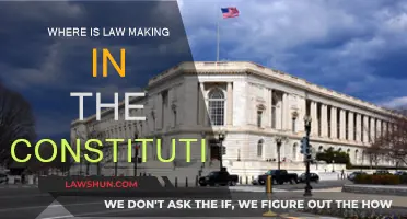 The Constitution's Law-Making: Where's the Power?
