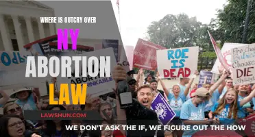 The Abortion Law: New York's Outcry and Silence