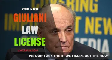 Rudy Giuliani's Law License: Where Is It Now?
