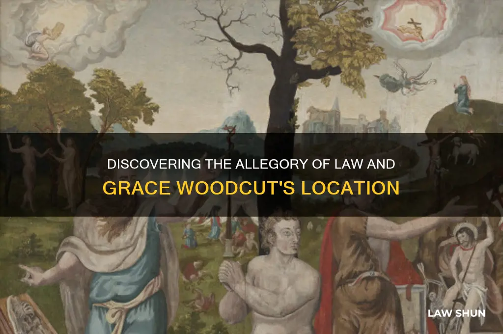 where is the allegory of law and grace woodcut located