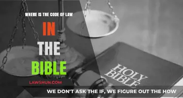 Biblical Legal Codes: Exploring Divine Laws in Scripture