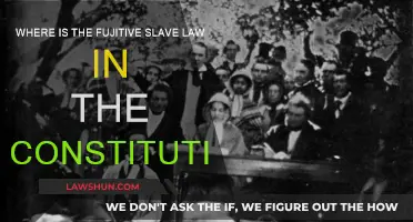 The Fugitive Slave Law: Constitutional Absence