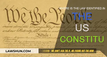 The Law's Place in the US Constitution