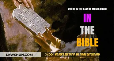Exploring the Law of Moses: Biblical Location and Significance