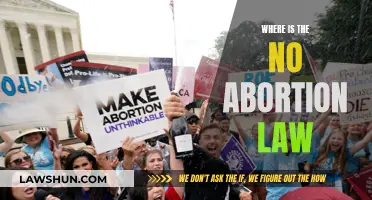 Abortion Laws: Where Are They and Why?