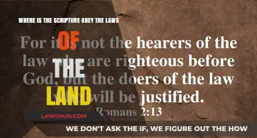 Obey the Laws of the Land: Scriptural Insights and Context