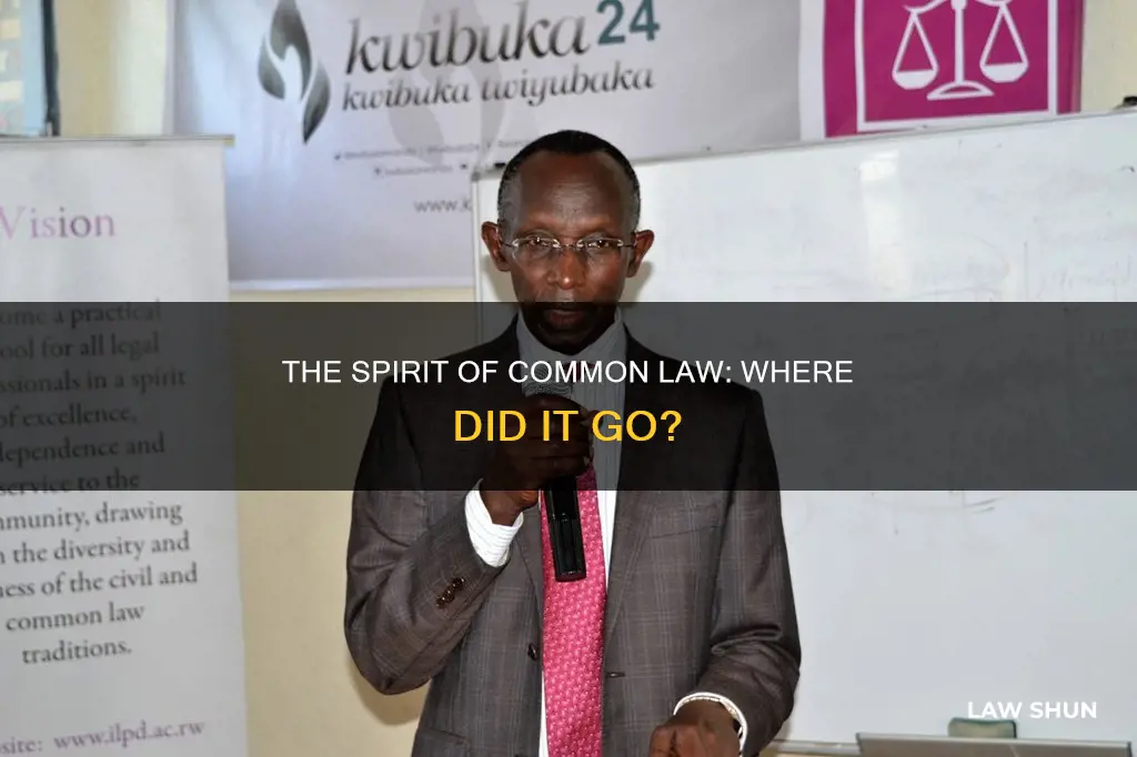 where is the spirit of common law