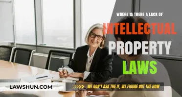 Global IP Gaps: Regions Lacking Intellectual Property Law Protection