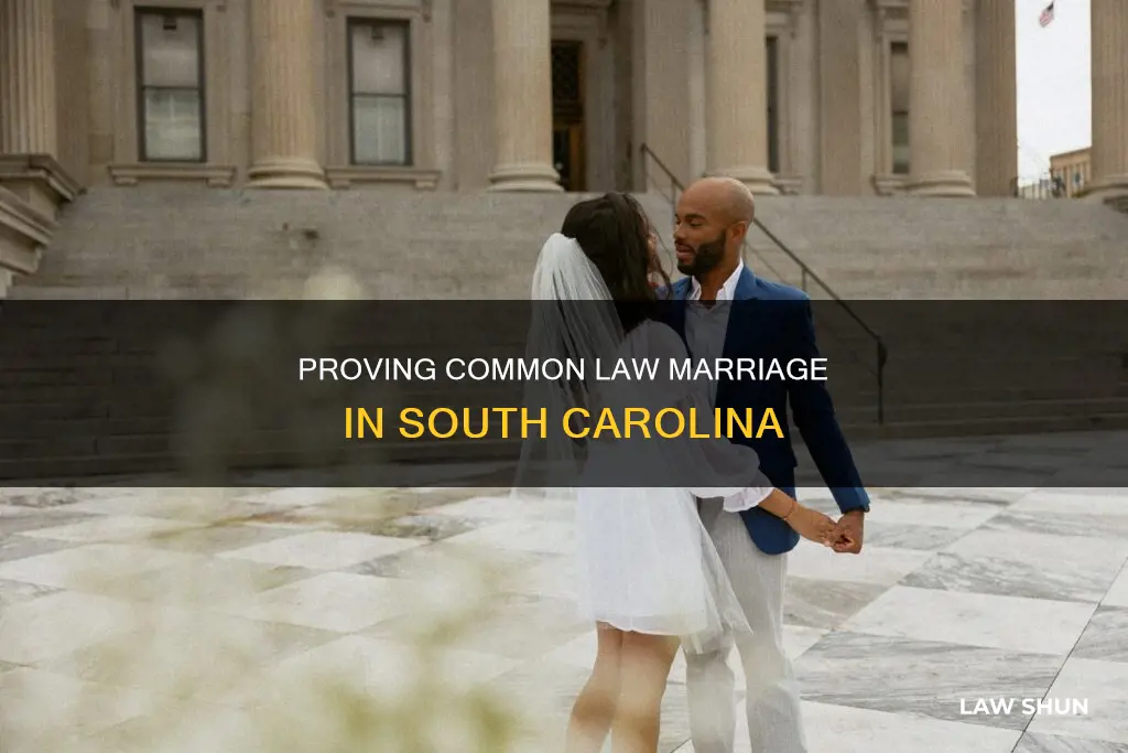 where is to prove common law marriage in south carolina