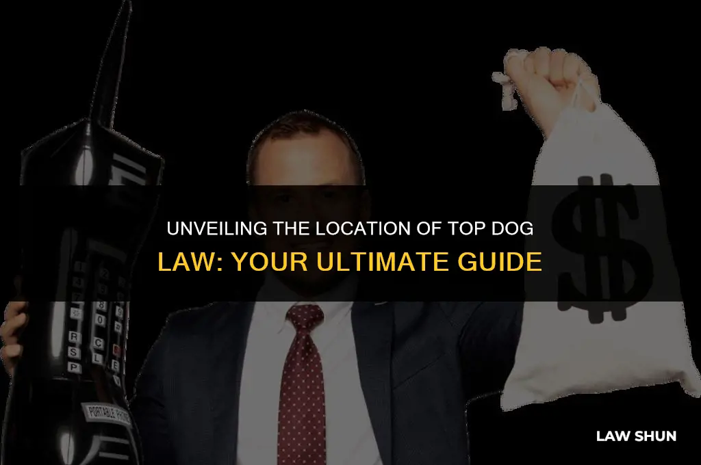 where is top dog law located