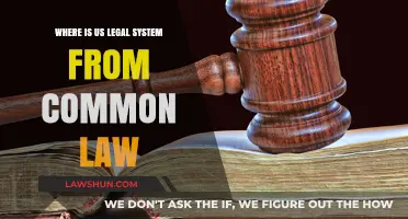 Common Law: The US Legal System's Roots
