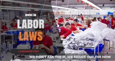 Exploitative Workplaces: The Harsh Reality of Where No Labor Laws Exist
