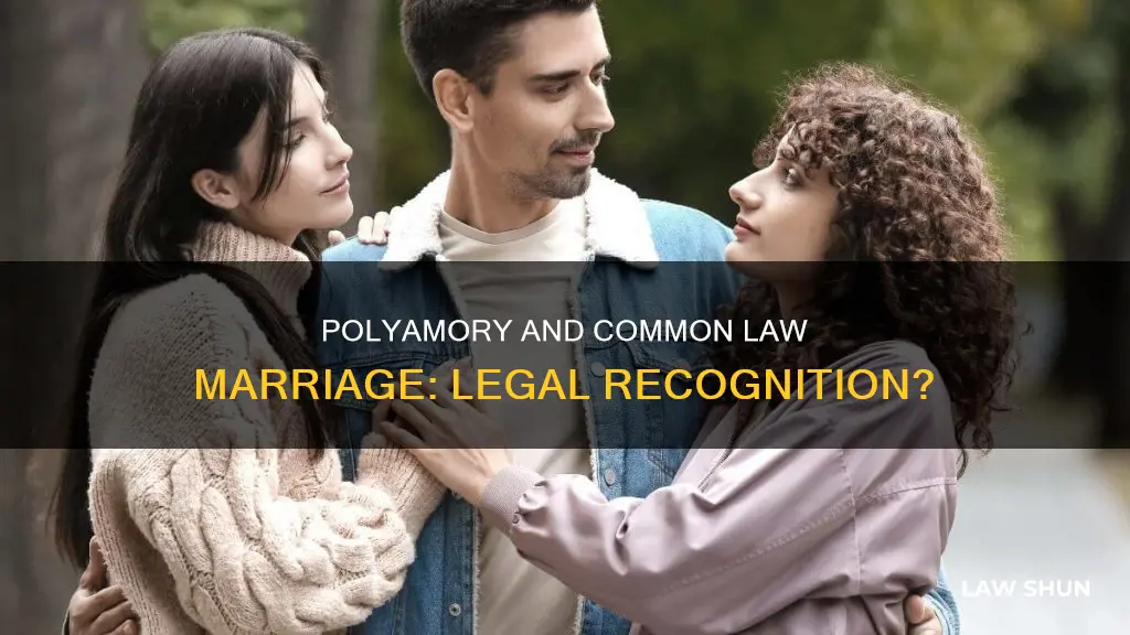 where polyamory exhists is there common law marriage