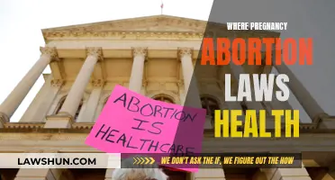 Health, Abortion, and Pregnancy: Navigating Laws and Care