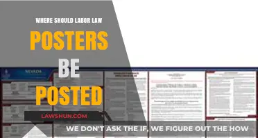 Strategic Placement of Labor Law Posters for Maximum Compliance and Visibility