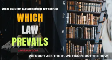 Common Law vs Statutory Law: Which Wins?