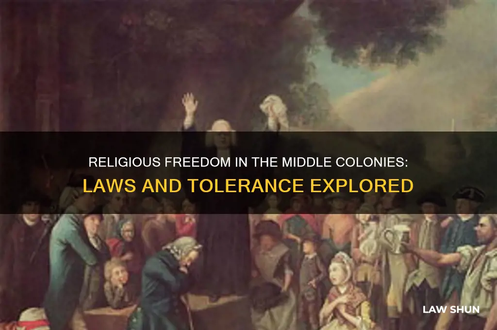 where there any laws against religion in the middle colonies