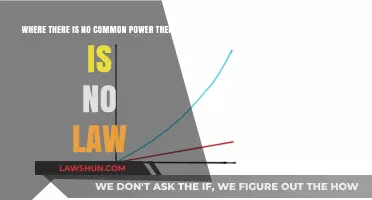 Power and Law: The Interdependence