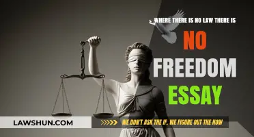 No Law, No Freedom: Exploring the Paradox of Liberty