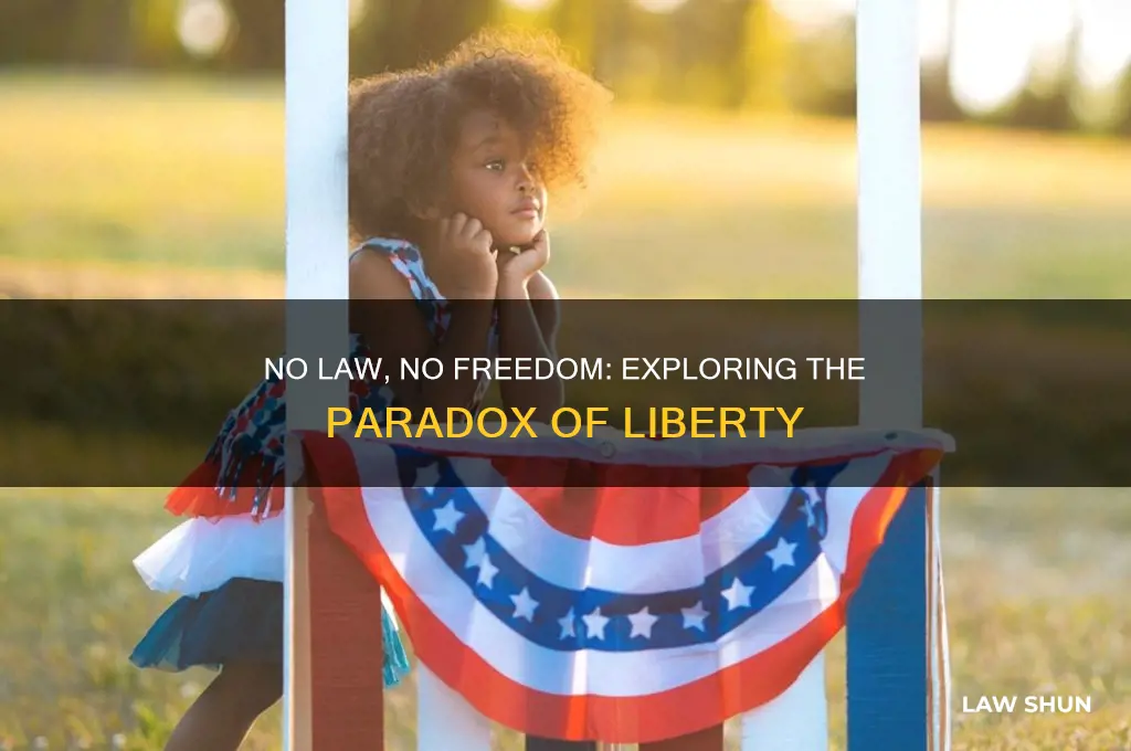 where there is no law there is no freedom essay
