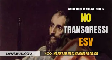 No Law, No Transgression: Exploring ESV's Biblical Perspective on Sin
