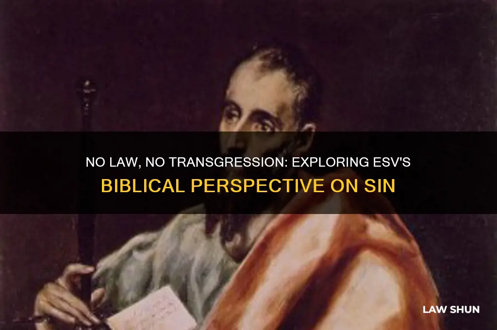 where there is no law there is no transgression esv
