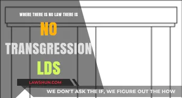 LDS Perspective: Understanding Transgression in the Absence of Law