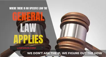 General Law: Filling the Legal Gaps