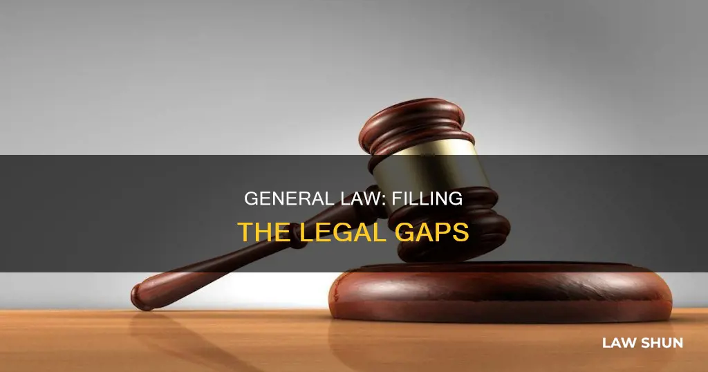 where there is no specific law the general law applies