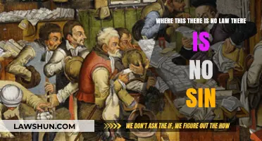 No Law, No Sin: Exploring Morality in Legal Void Scenarios