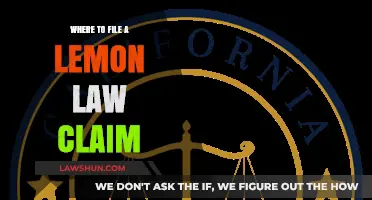 Where to File a Lemon Law Claim: A Comprehensive Guide