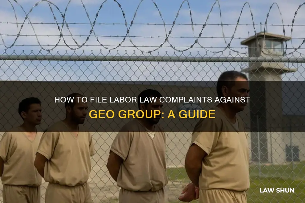 where to file complaints against geo group for labor laws