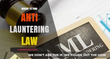 Navigating Anti-Money Laundering Laws: Key Resources and Locations