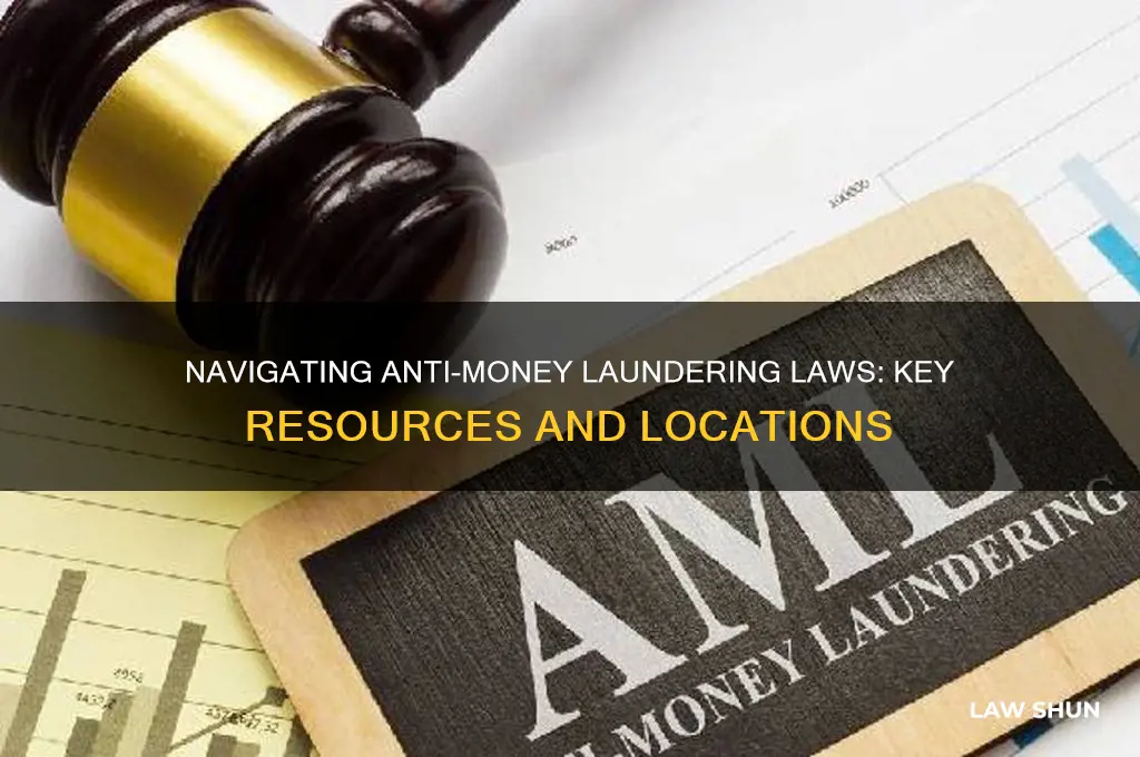 where to find anti launtering law