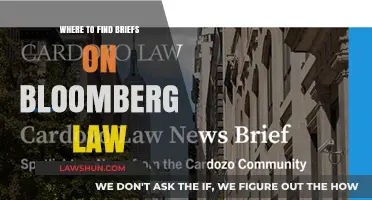 Discovering Legal Briefs on Bloomberg Law: A Comprehensive Guide