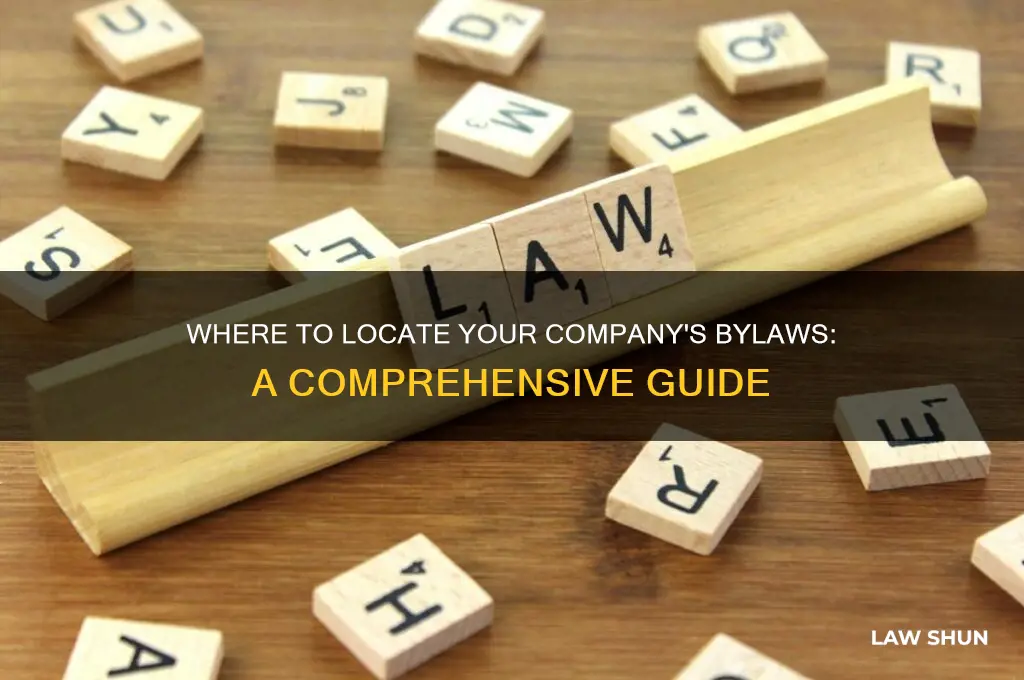 where to find by laws for our company