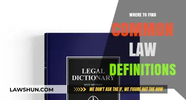 Understanding Common Law: A Guide to Definitions and Sources