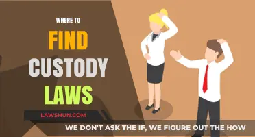 Navigating Custody Laws: Essential Resources and Locations for Parents