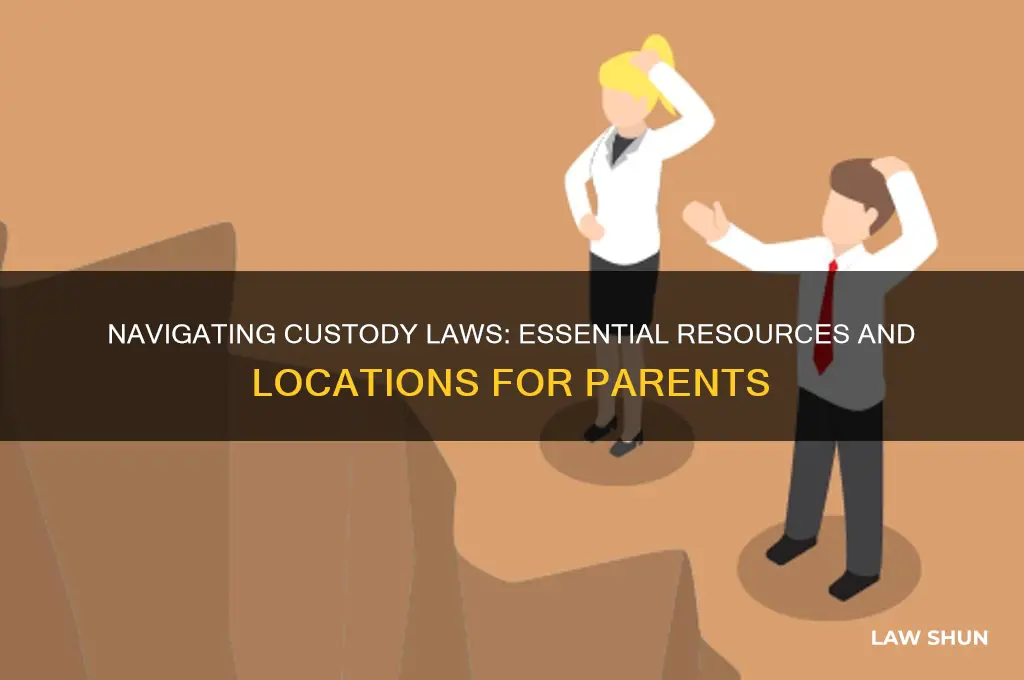 where to find custody laws
