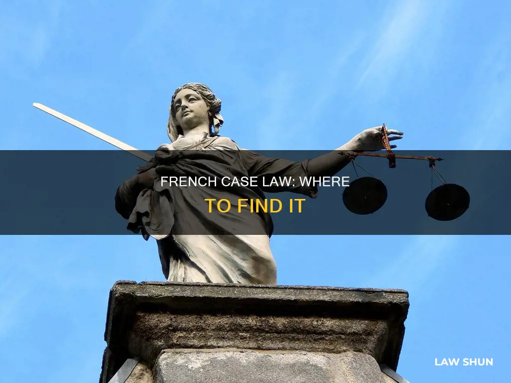 where to find french case law