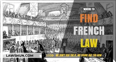 Discovering French Law: Essential Resources and Online Platforms to Explore