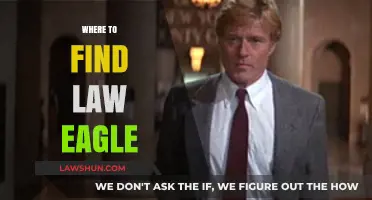 Discovering the Majestic Law Eagle: Top Locations to Spot This Rare Bird
