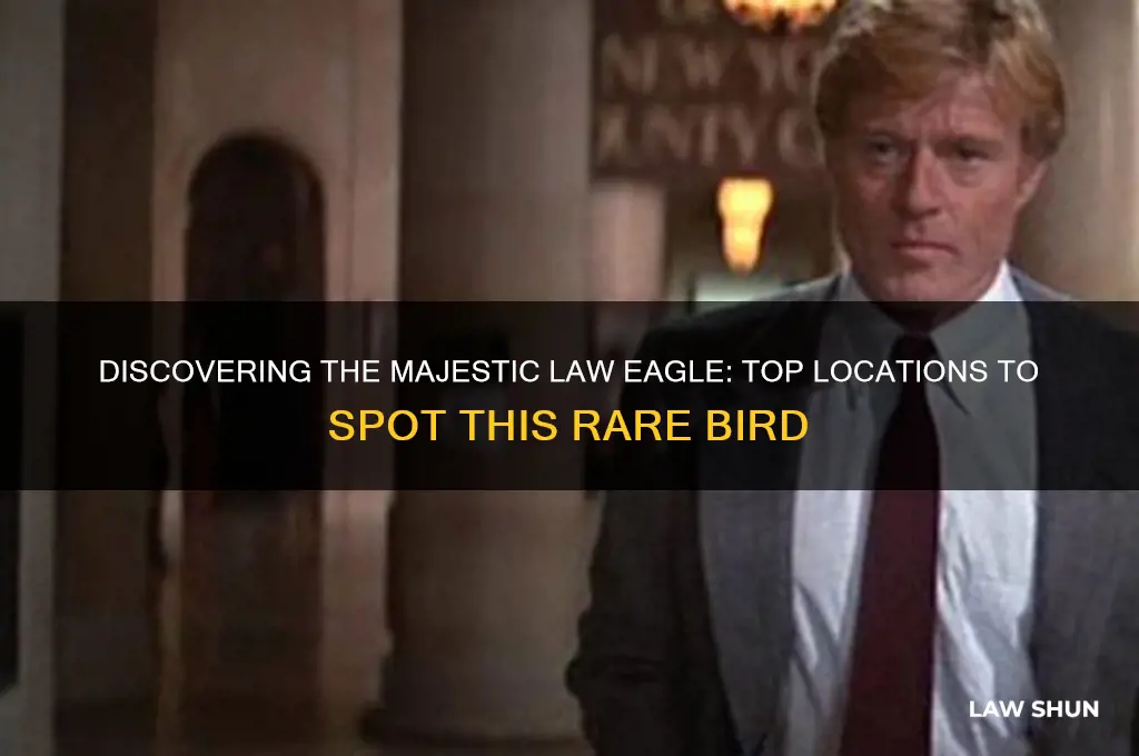 where to find law eagle