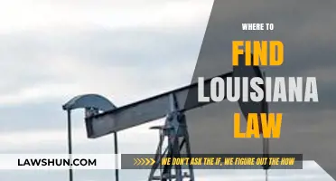 Discover Louisiana Law: Top Resources and Locations for Legal Research