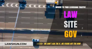 Louisiana Traffic Laws: Official Government Website Guide for Drivers