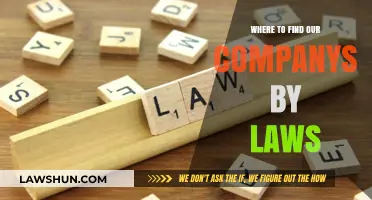 Discover Your Company's By-Laws: A Quick Location Guide
