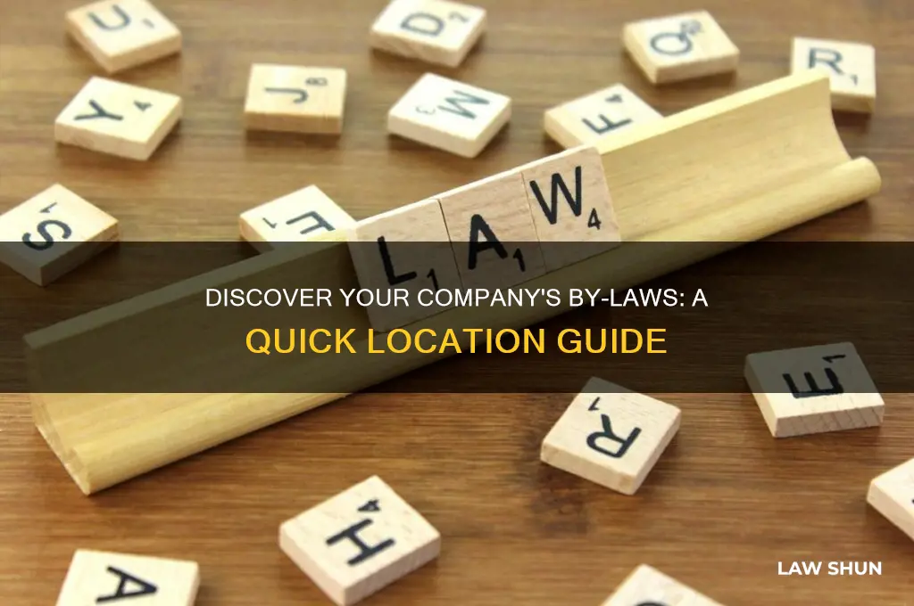 where to find our companys by laws