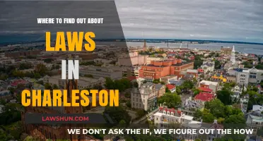 Discover Charleston's Legal Resources: A Guide to Local Laws and Regulations