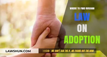 Navigating Russian Adoption Laws: Essential Resources and Legal Guidelines