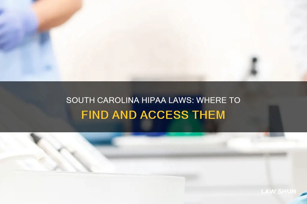 where to find south carolina hipa laws
